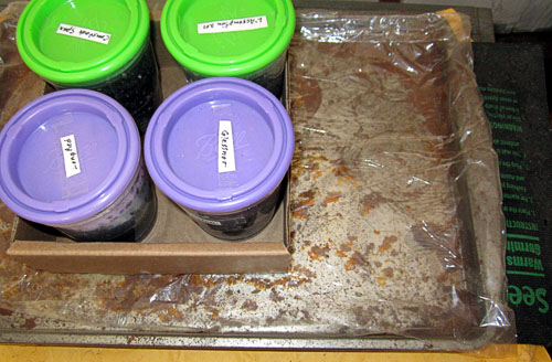 Garden20240302_7310_germinationCups_onHeatPad_500.jpg