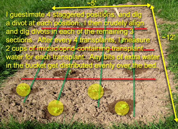 Garden20190518_4364_BedLayout04_600.jpg