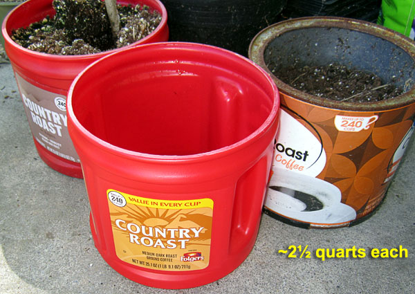 Garden20201007_5444_coffeeTubs_600.jpg