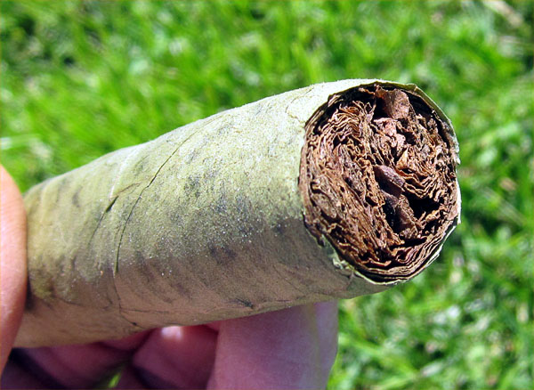 Garden20180421_3533_cigar_candela_foot_600.jpg