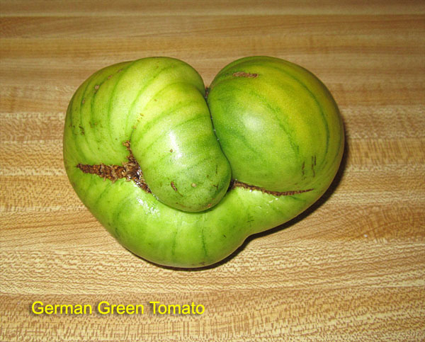 Garden20180907_3890_GermanGreenTomato_bottom_600.jpg