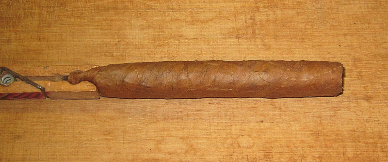 Garden20250913_7672_cigar_pressedView2_800.jpg