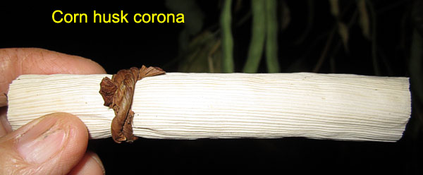 Garden20171011_3174_cigar_cornHusk_600.jpg