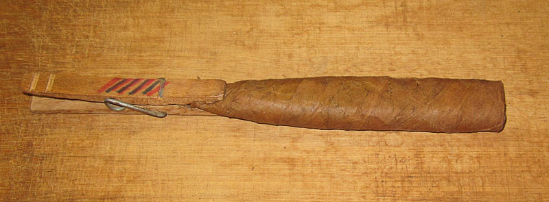 Garden20250913_7671_cigar_pressedView1_800.jpg