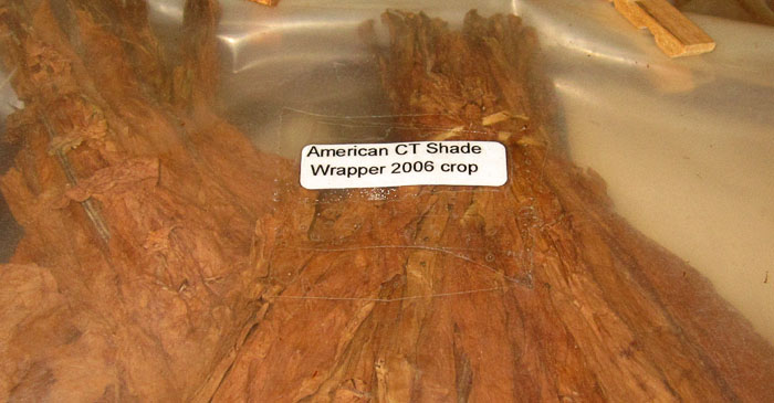 Garden20250928_7684_cigarWrapperCTShade2006_label_700.jpg