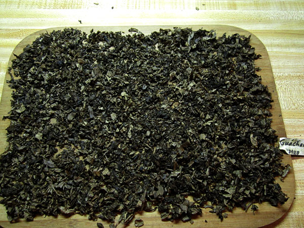 Garden20171224_3324_Guacharo_Cavendish_drying_600.jpg