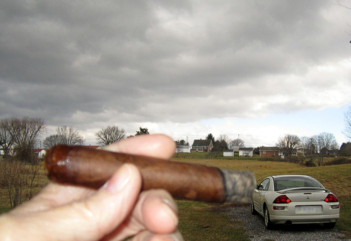 Garden20241231_7504_cigar_grayDay_700.jpg