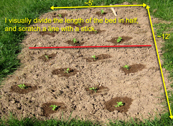 Garden20190518_4364_BedLayout02_600.jpg