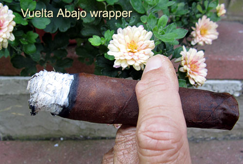 Garden20150804_1974_cigar_VueltaAbajoWrapper_500.jpg