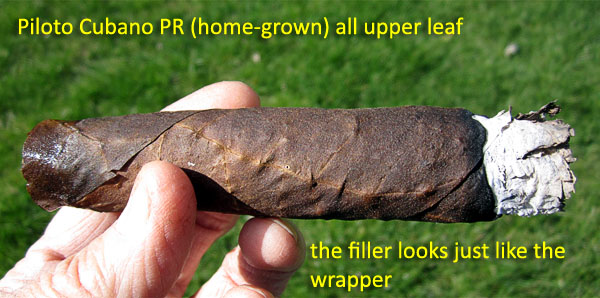 Garden20180410_3513_cigar_PilotoCubanoPR_upperPuro_600.jpg