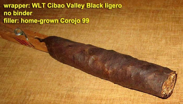 Garden20210530_5728_cigar_CVBlackLigero_700.jpg