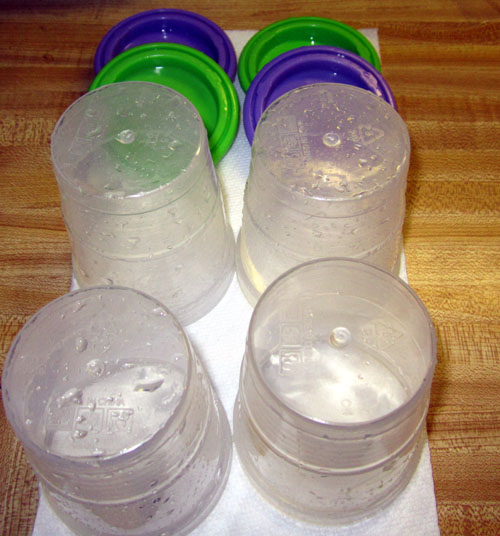 Garden20240301_7307_germinationCups_drying_500.jpg