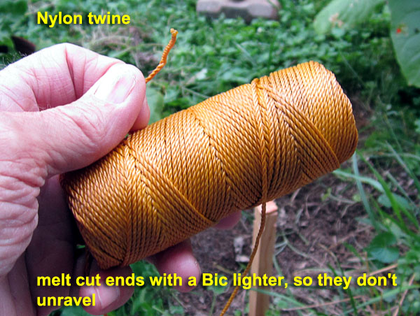 Garden20220627_6496_stakingPottedPlant02_twine_600.jpg