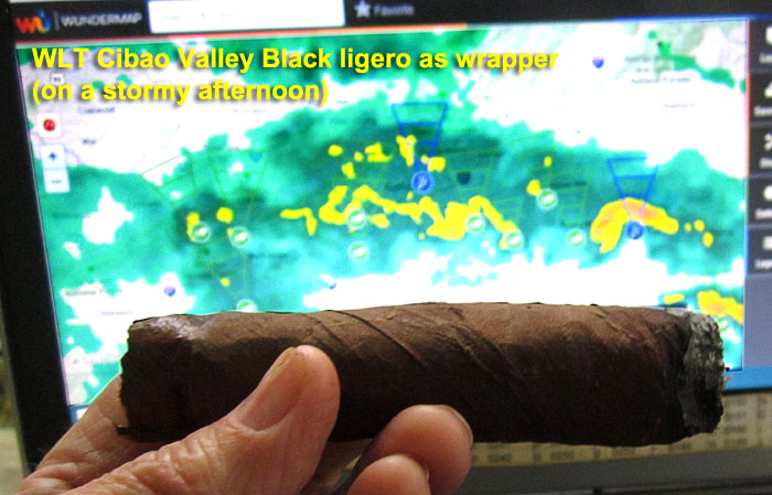 Garden20210817_5990_cigar_CVBlackLigero_700.jpg