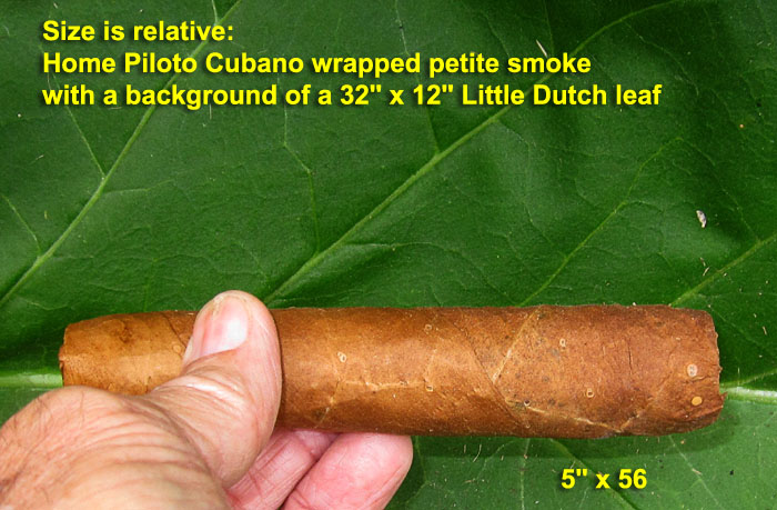 Garden20210831_6031_cigar_PilotoCubano_sizeRelative_700.jpg