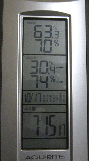 Garden20201017_5487_FirstFrost_Thermometer_300V.jpg