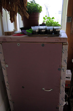 Garden20170408_2547_plantsOnKiln_300.jpg