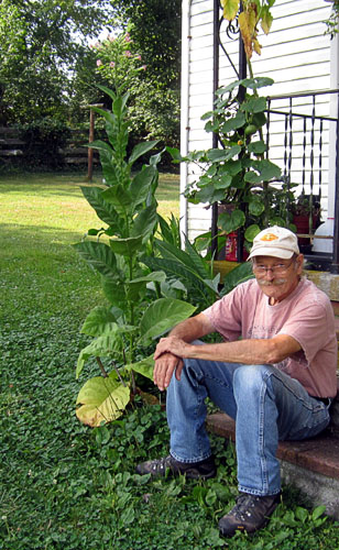 Garden20210726_5906_Bob_porchSteps_500v.jpg