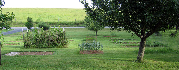 Garden20170612_2712_entireGarden_topView_600.jpg