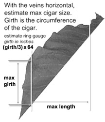 MaxCigarDimensionsFromAWrapper_a_3in_72dpi_GS.jpg