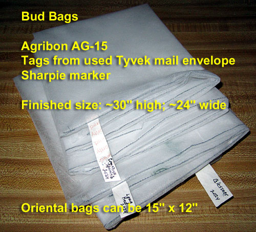 Garden20240318_7331_budBags_sewn_500.jpg