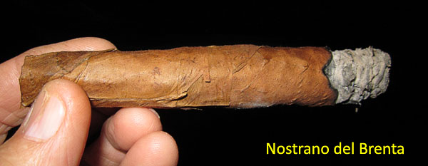 Garden20161101_2357_cigar_Nostrano_puro_600.jpg