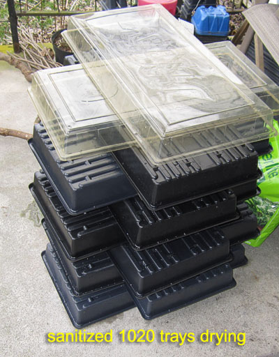 Garden20190228_4168_drying1020trays_400.jpg