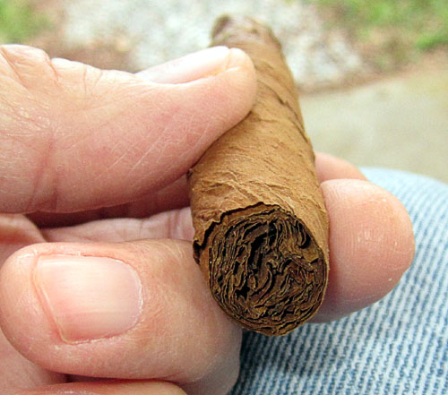 Garden20240403_7336_cigar_CTShade_PeruViso_foot_500.jpg