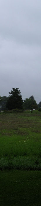 Garden20140811_1443_rainyDay_tall.jpg