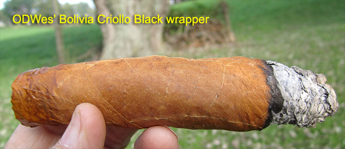 Garden20181015_3974_cigar_BoliviaCriolloBlack_ODWes_700.jpg