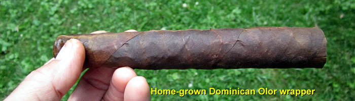 Garden20140710_1323_cigar_DomOlorOscuroWrapper_700.jpg