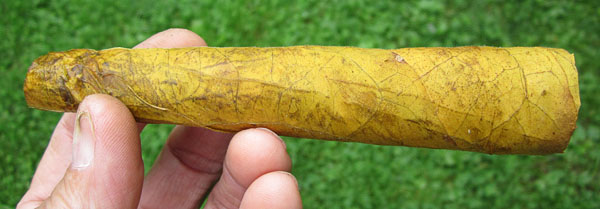 Garden20140822_1468_cigar_VABright_FC_wrapper_600.jpg