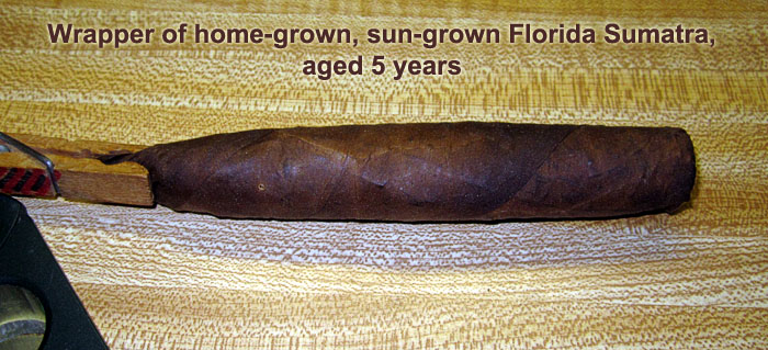 Garden20200618_5182_cigar_FLSumatra5yrs_700.jpg