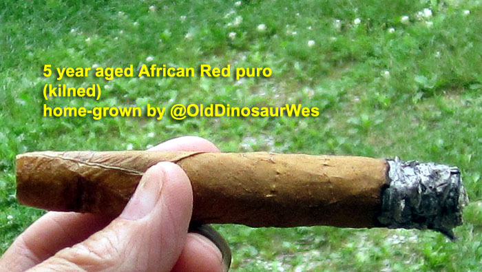 Garden20220728_6601_cigar_AfricanRed_ODWes_puro_700.jpg