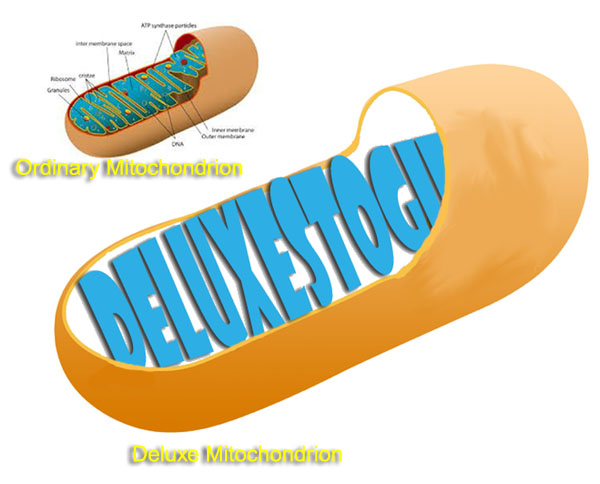 MitochondriaDeluxe.jpg