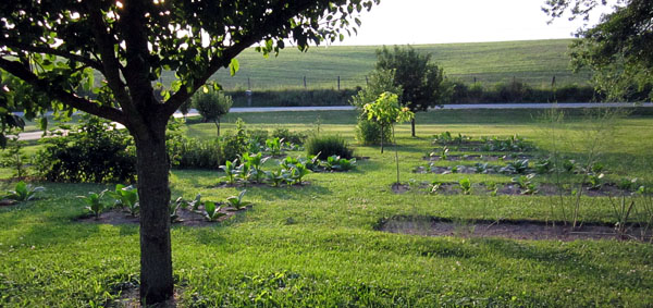 Garden20140626_1266_entireGarden_topview_600.jpg