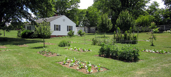 Garden20160629_2183_entireGarden_600.jpg
