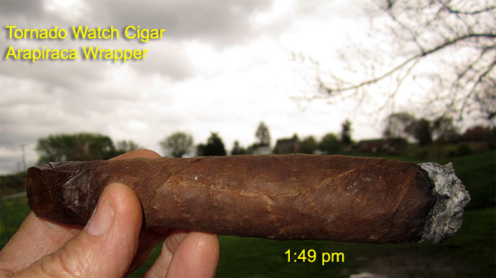 Garden20190419_4232_cigar_Arapiraca_700.jpg