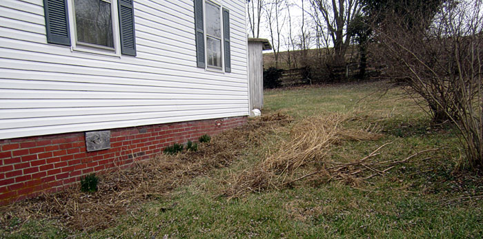 Garden20230211_6848_longBed_tilled_700.jpg