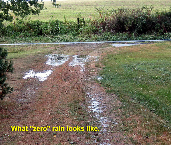 Garden20210813_5978_rainInDriveway_600.jpg