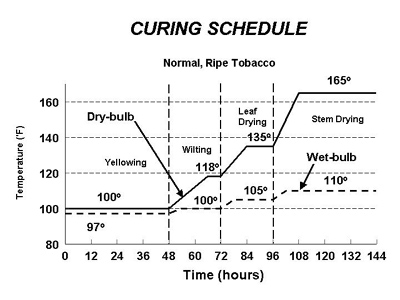 schedule.jpg