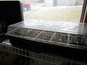 Garden20130307_577_germination_dome_300.jpg
