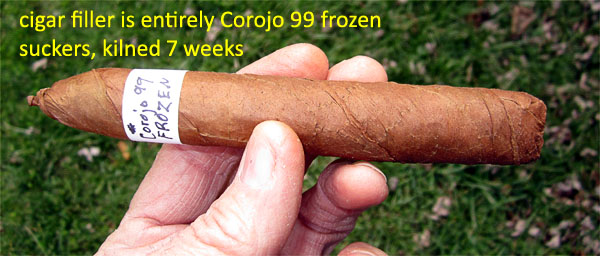 Garden20180319_3464_cigar_FrozenCorojo99_600.jpg