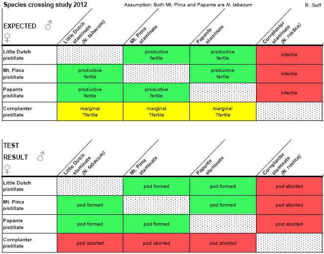 MtPima_Papante_crossingStudy.jpg