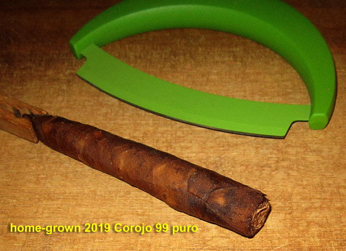 Garden20240726_7414_cigar_Corojo99_puro_700.jpg