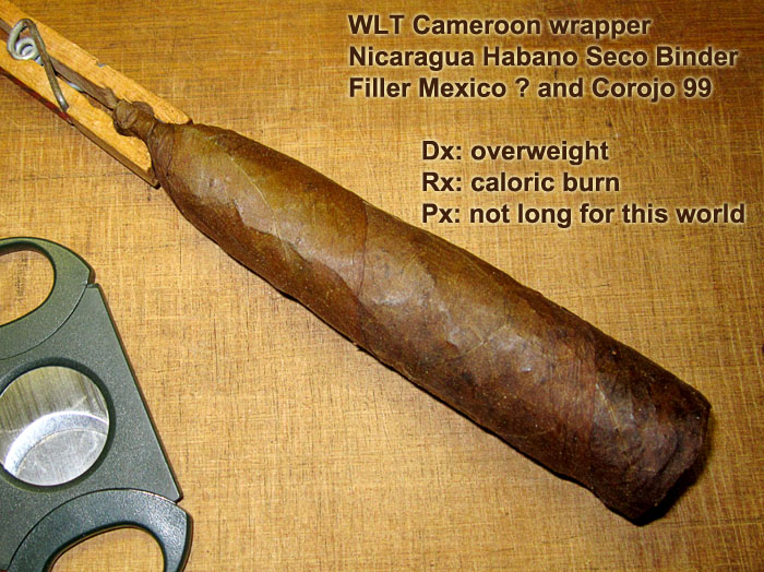 Garden20200602_5171_cigar_Cameroon_fatboy_700.jpg