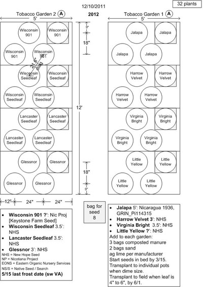 Garden2012_Tobacco_beds1-2_400.jpg
