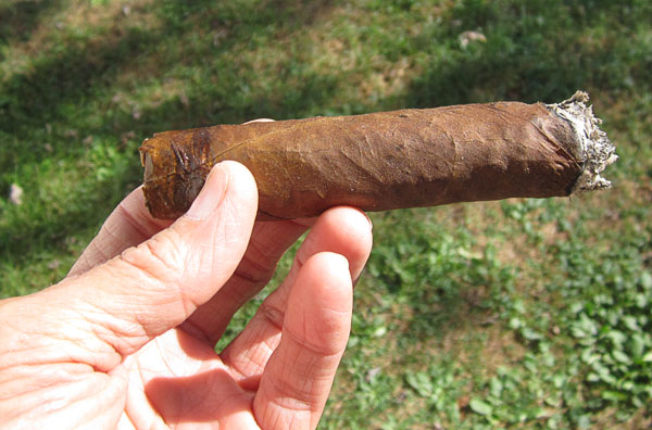 Garden20190920_4751_cigar_happyMoment_Cameroon_600.jpg