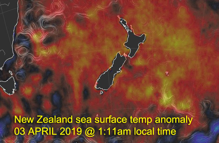 NewZealand_SSTA20190402.JPG