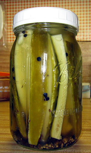 Garden20170716_2866_jarOfPickleCukes_300.jpg